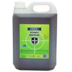 Antiseptic Disinfectant AMAL Plus 5 Ltr