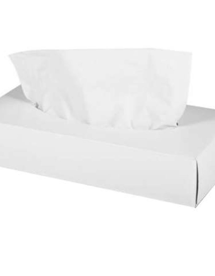 Facial Tissue 100 x 2 Ply Rectangular White Box 1 x 42