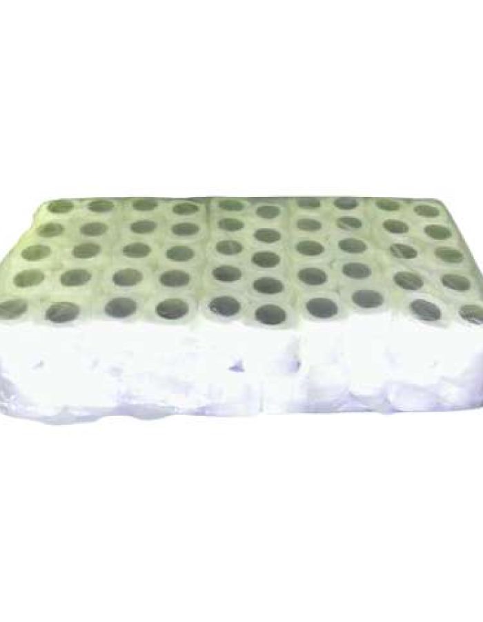 Toilet Roll 100 sheets x 2 Ply x 100 rolls